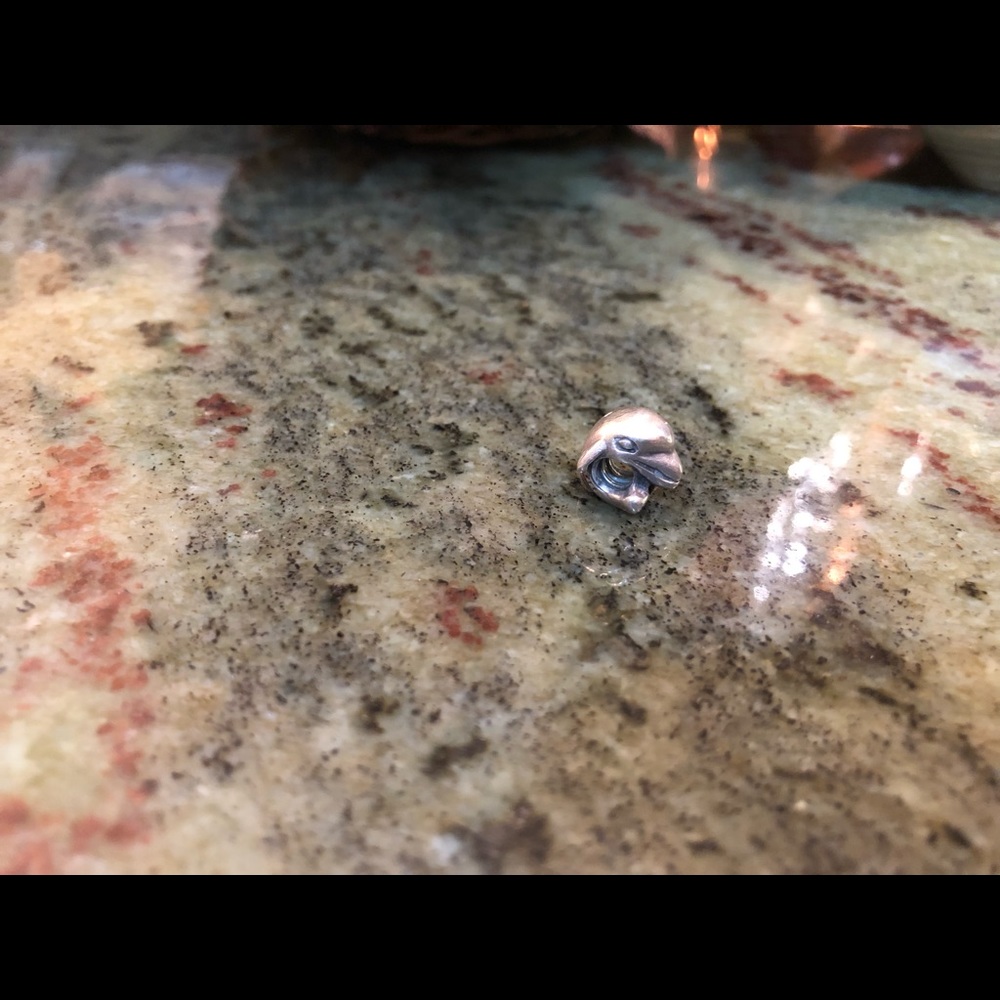 Pandora dolphin charm